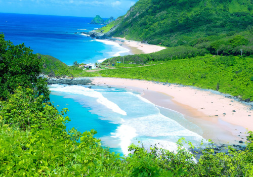Exploring Brazil Through Amazing Pictures Online